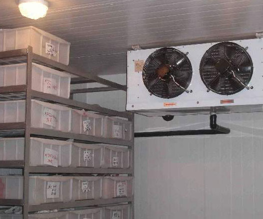 冷库m6米乐注册改造