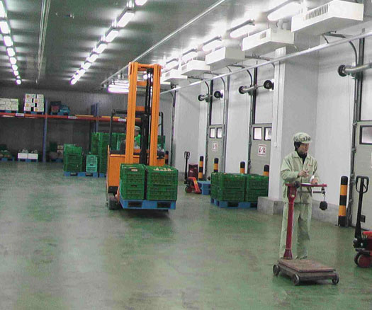 冷库的m6米乐注册安全解决方案